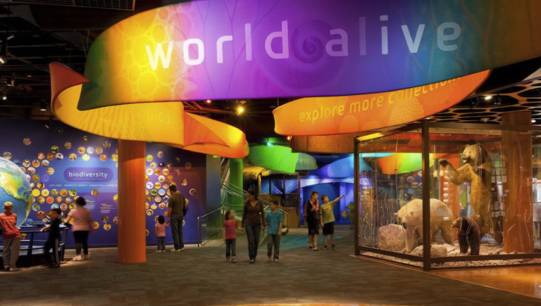 6 Things to Know About Discovery Place Science in Charlotte NC